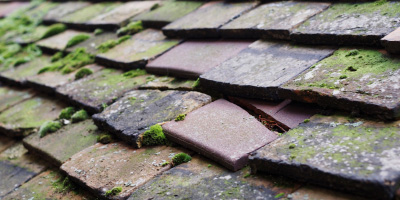 Little Hampden roof repair costs
